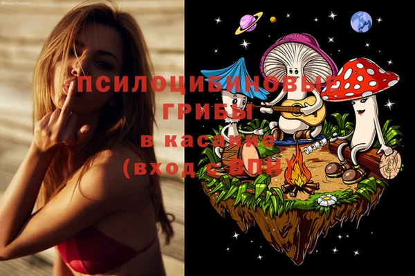 прущая мука Абаза
