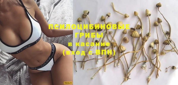 прущая мука Абаза